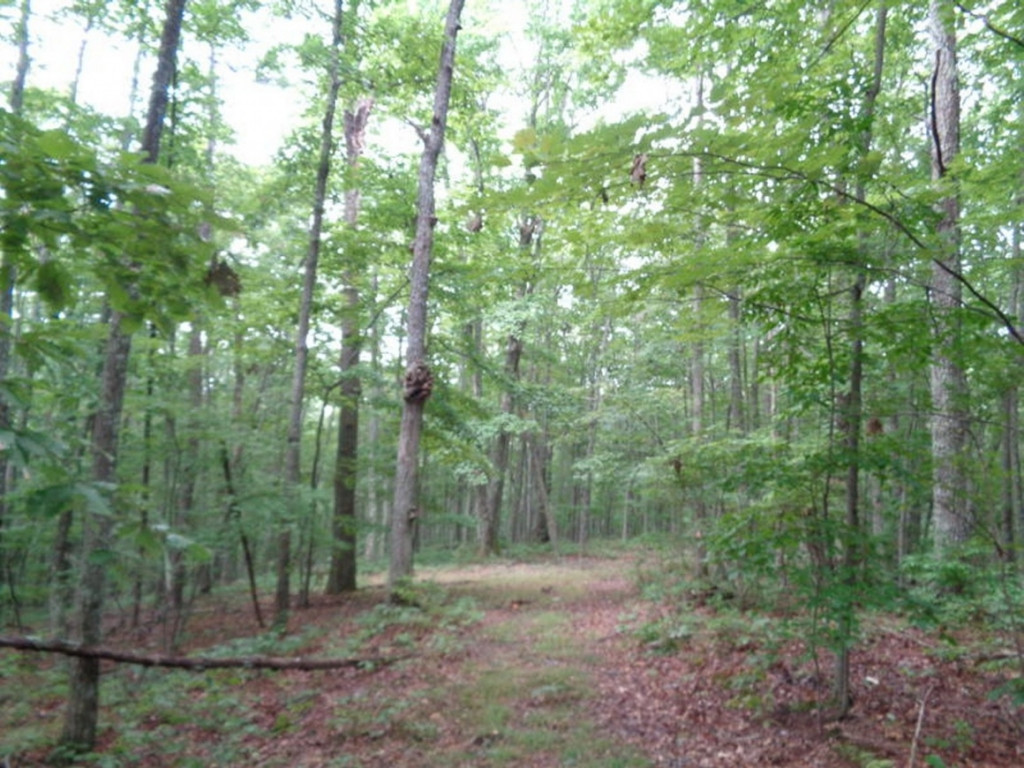 0 Short Mountain Road Sneedville, TN 37869 - Photo 35 of 36 Photo 35