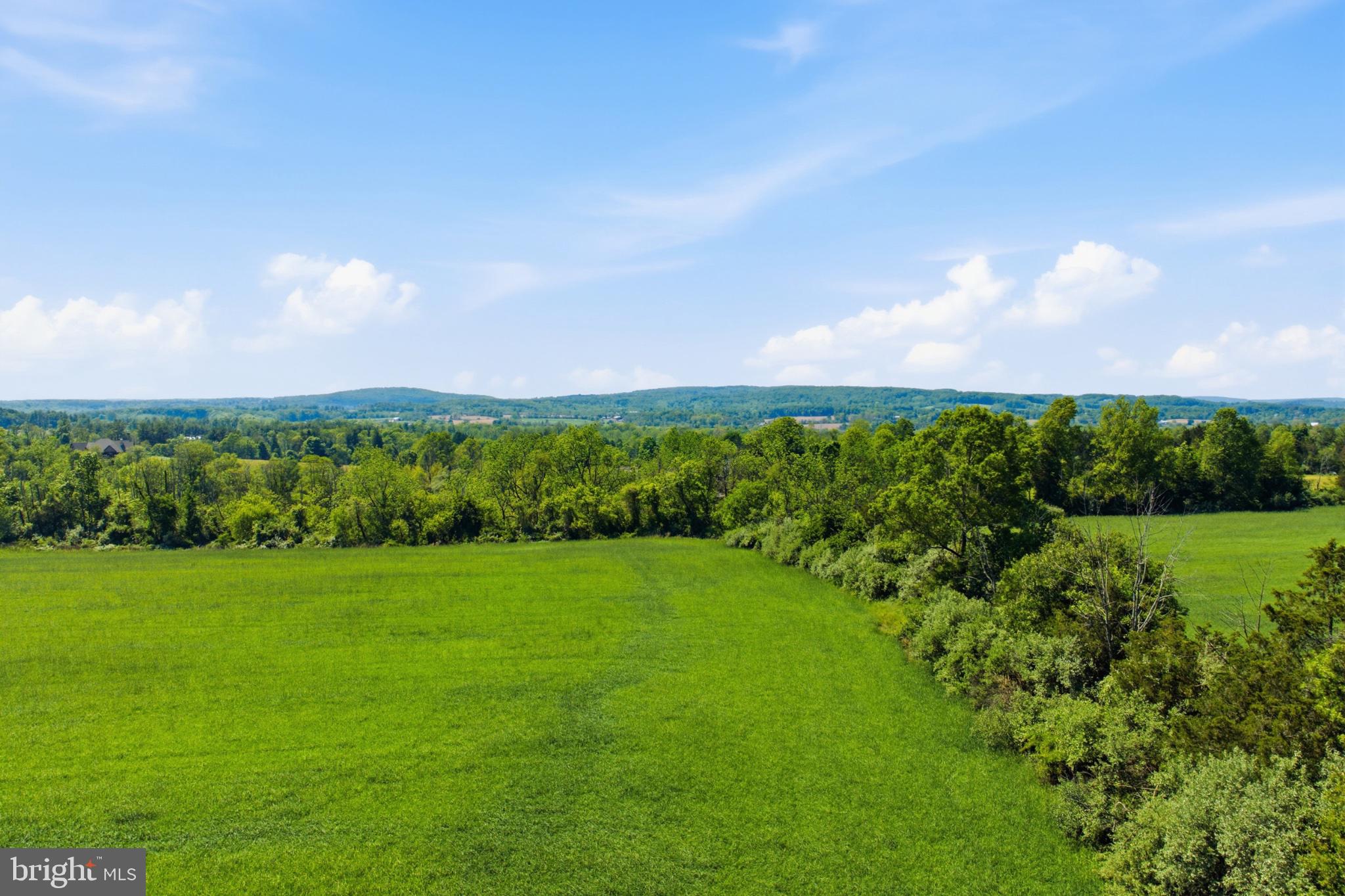1540 Roundhouse Road Quakertown, PA 18951 - Photo 4 of 20 Vibrant green fields meet blue skies.