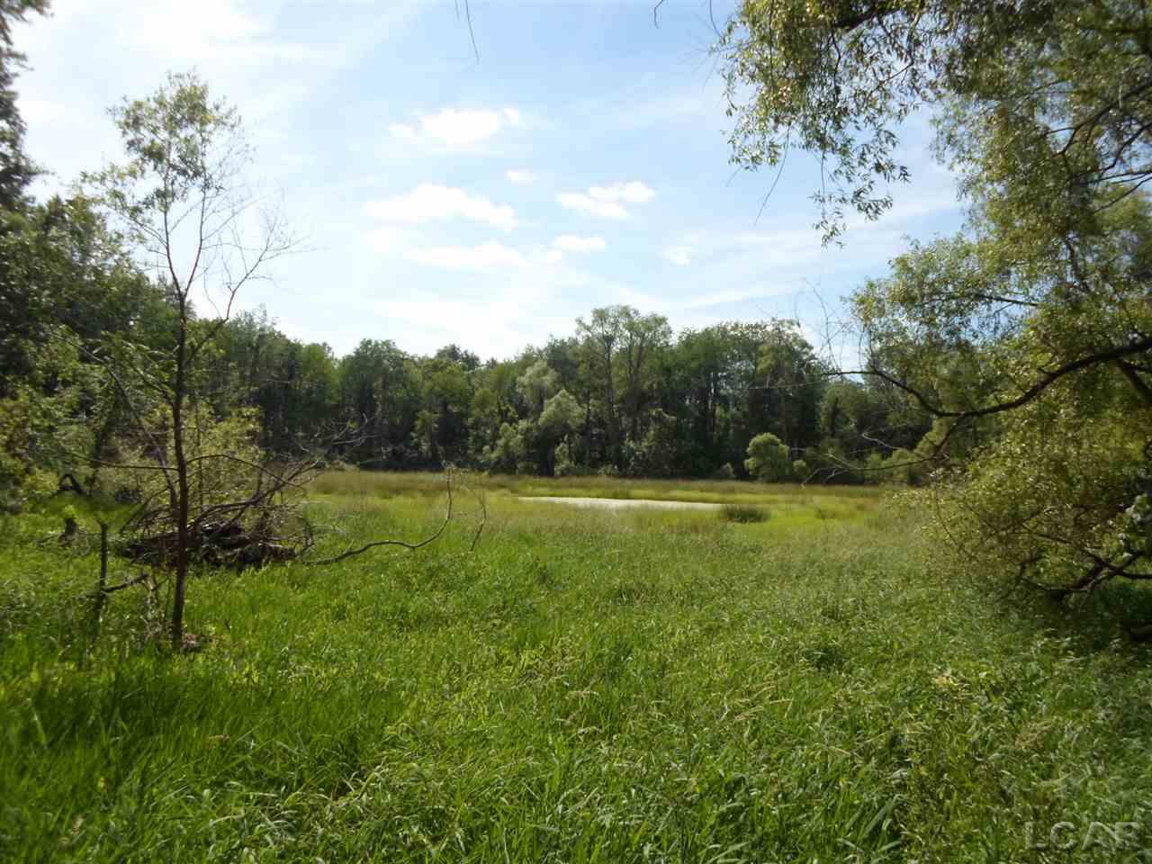 12000 Stephenson Road, Unit PARCEL A Brooklyn, MI 49230 - Photo 32 of 49
