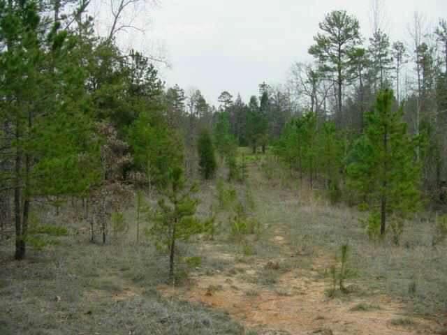 0 McCoy Road Ware Shoals, SC 29692 - Photo 1 of 1