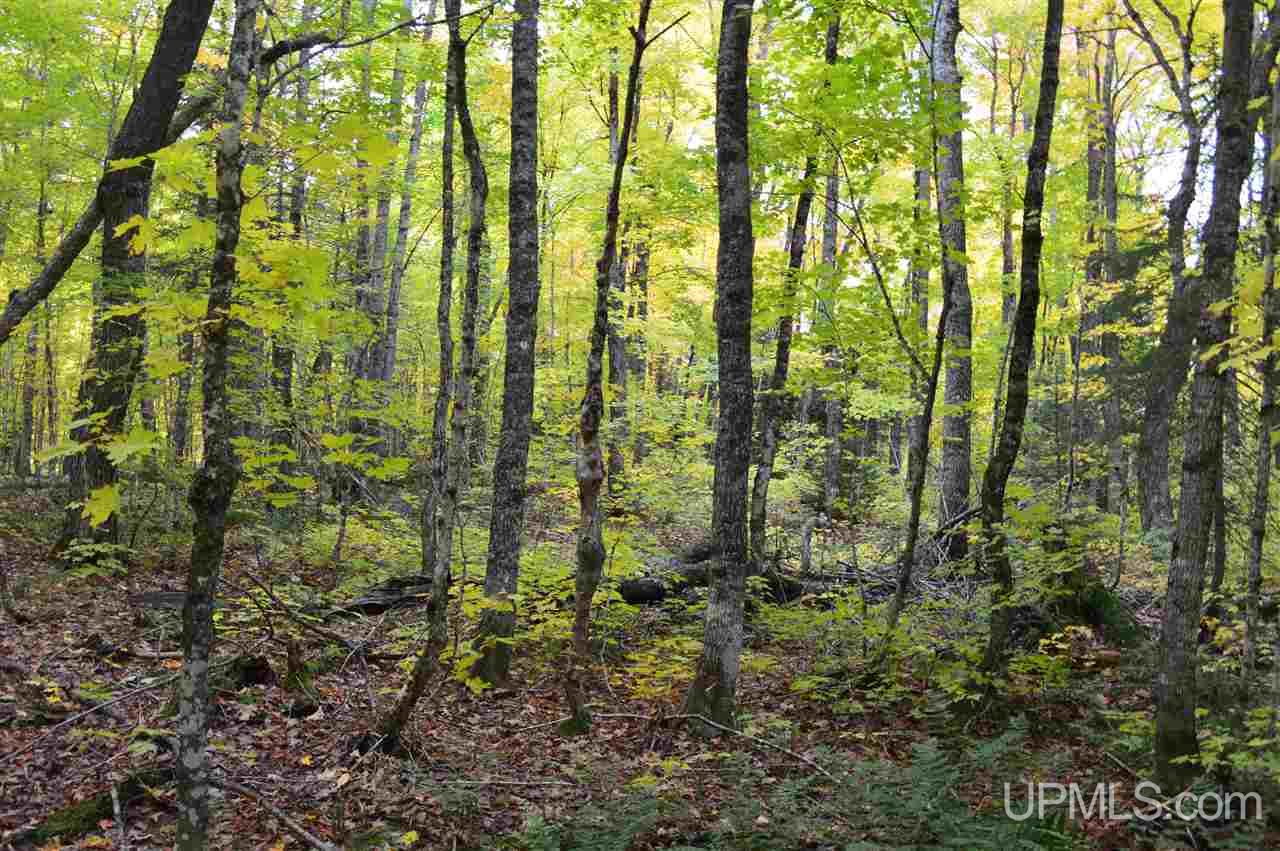 Tbd Peshekee Grade Road Skanee, MI 49962 - Photo 21 of 35