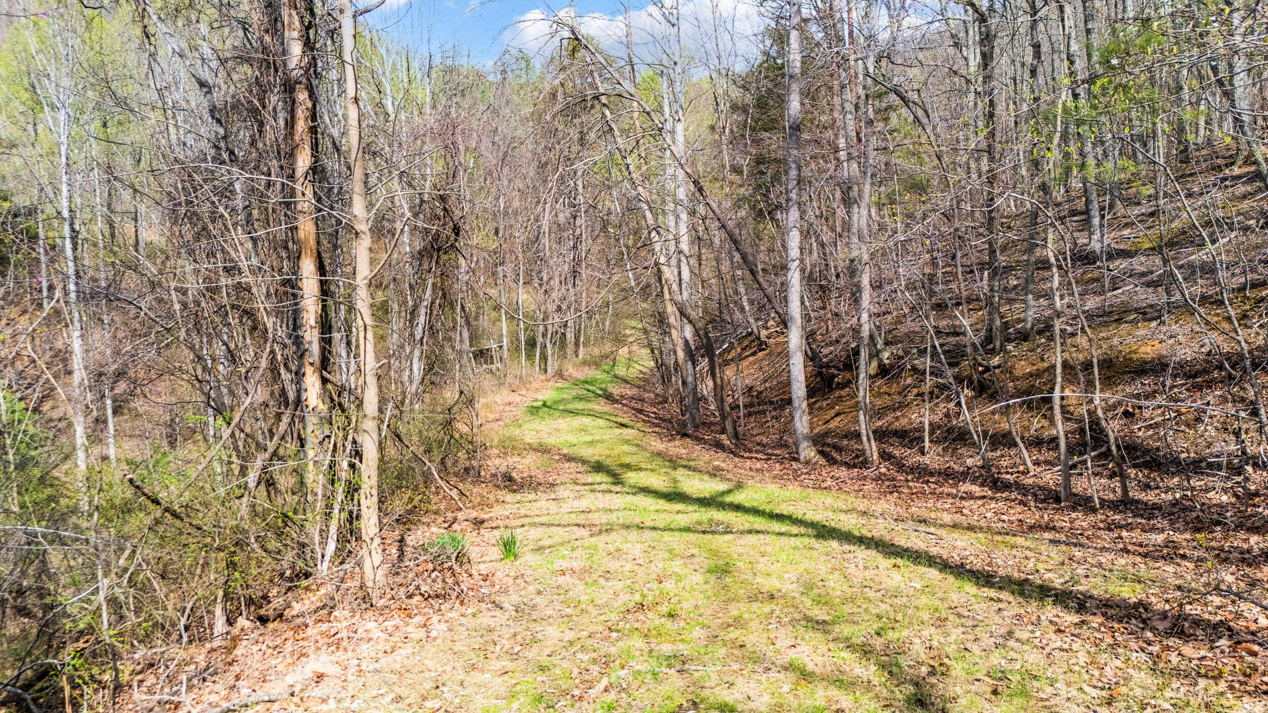 1374 Moccasin Road Thaxton, VA 24174 - Photo 41 of 81 a view of under construction area