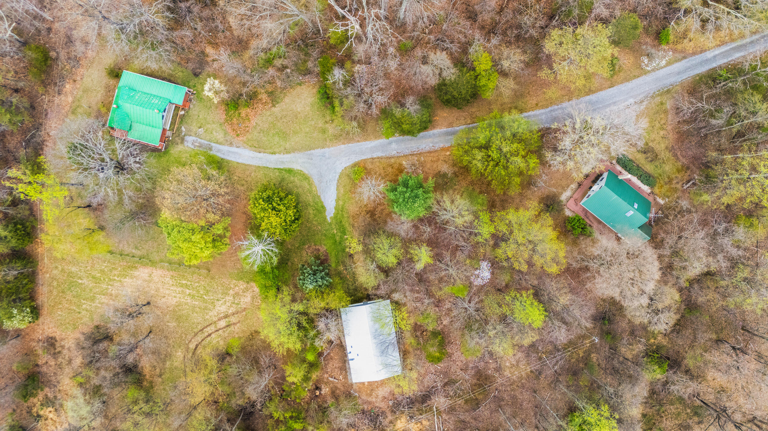 1374 Moccasin Road Thaxton, VA 24174 - Photo 42 of 81 a view of a tree with a yard