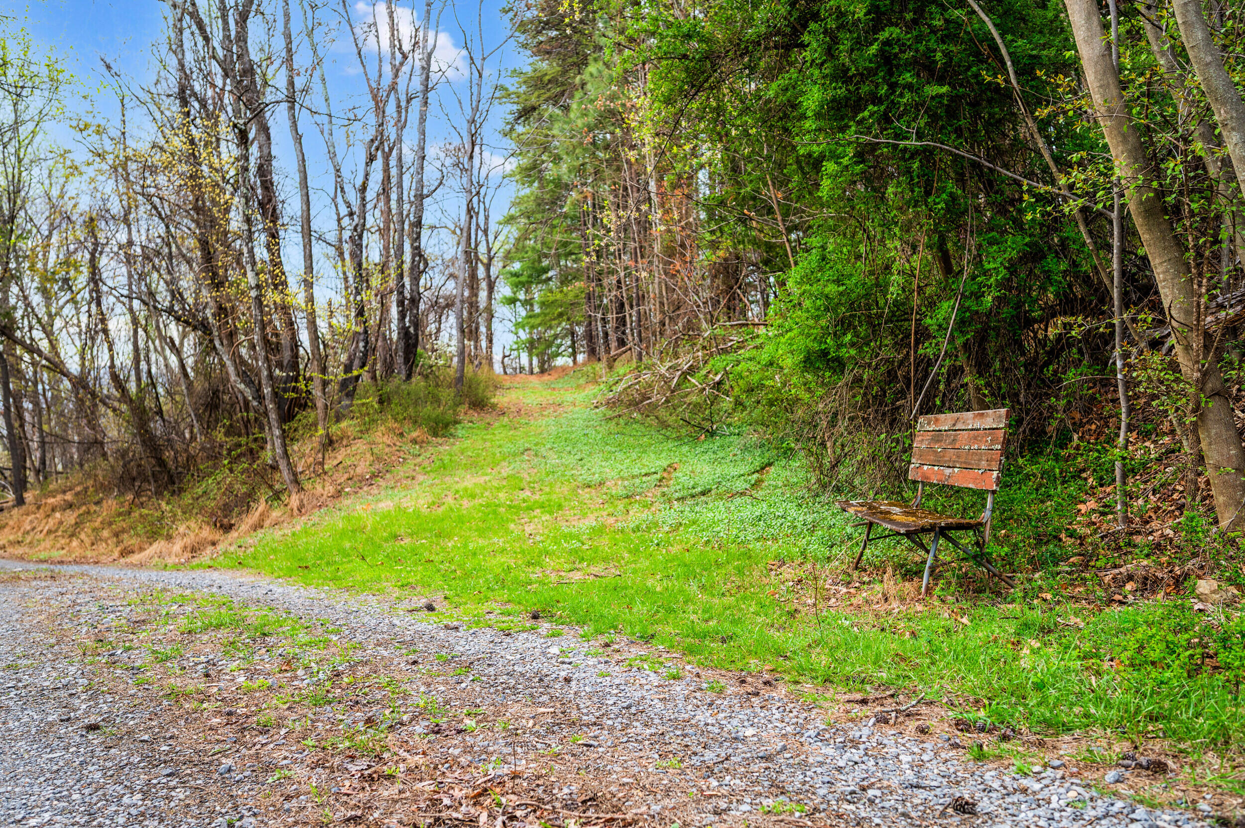 1374 Moccasin Road Thaxton, VA 24174 - Photo 78 of 81 a backyard of a house with table and chairs