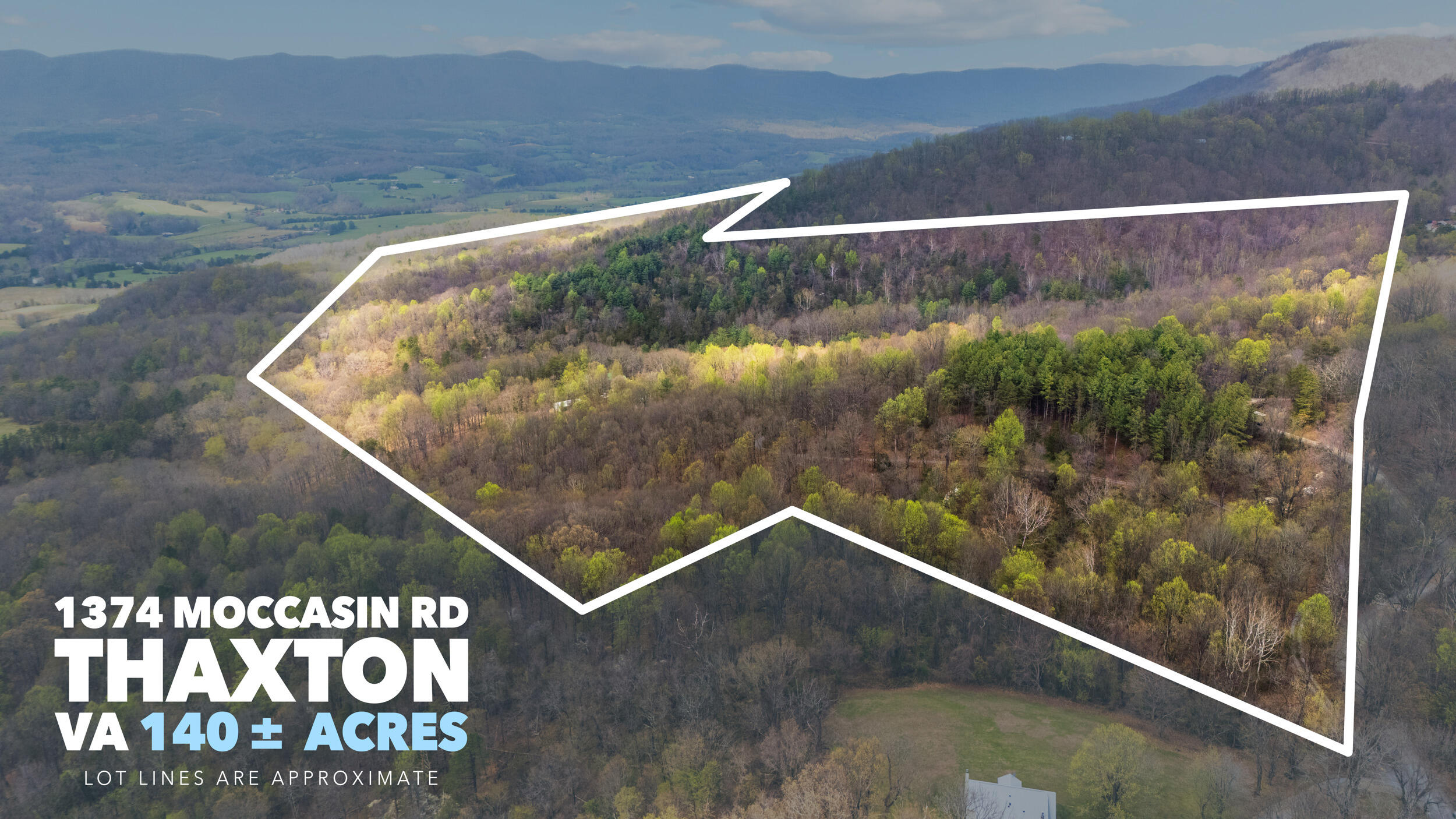 1374 Moccasin Road Thaxton, VA 24174 - Photo 81 of 81 81_lot lines updated