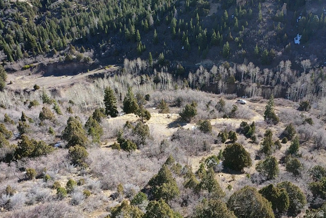 Undisclosed Address Summit, UT 84772 - Photo 16 of 19 Drone / aerial view of a forest