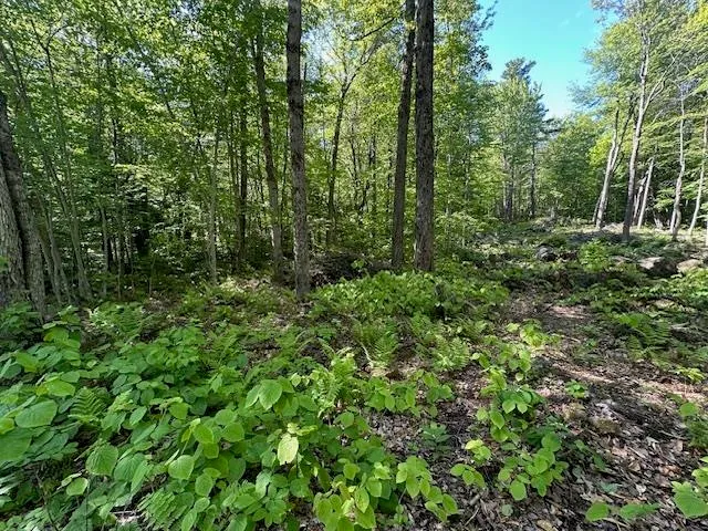 $44,900 | 0 Tigola Trail, Stoddard, NH 03464