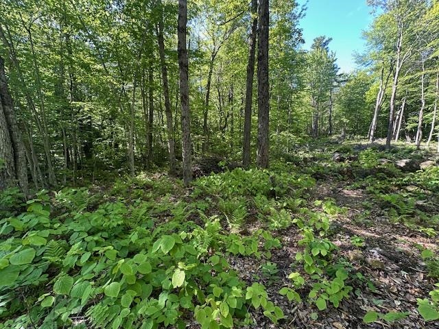 0 Tigola Trail Stoddard, NH 03464 - Photo 2 of 10