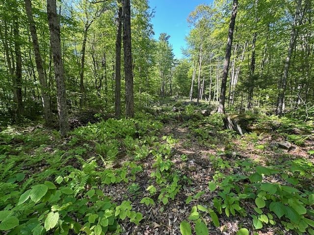 0 Tigola Trail Stoddard, NH 03464 - Photo 3 of 10