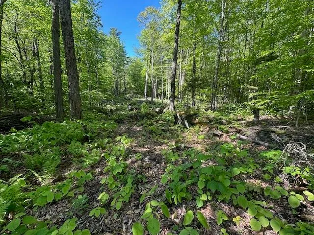 $44,900 | 0 Tigola Trail, Stoddard, NH 03464