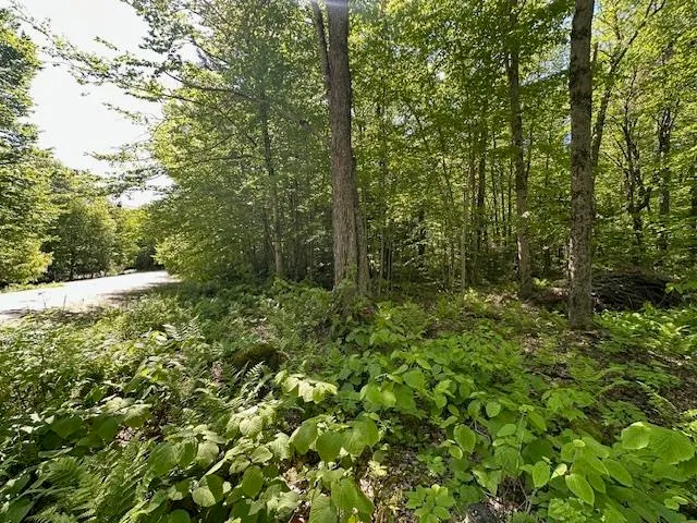 $44,900 | 0 Tigola Trail, Stoddard, NH 03464