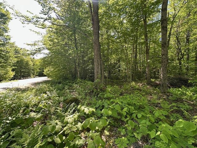 0 Tigola Trail Stoddard, NH 03464 - Photo 6 of 10