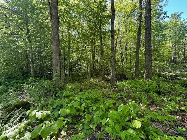 $44,900 | 0 Tigola Trail, Stoddard, NH 03464