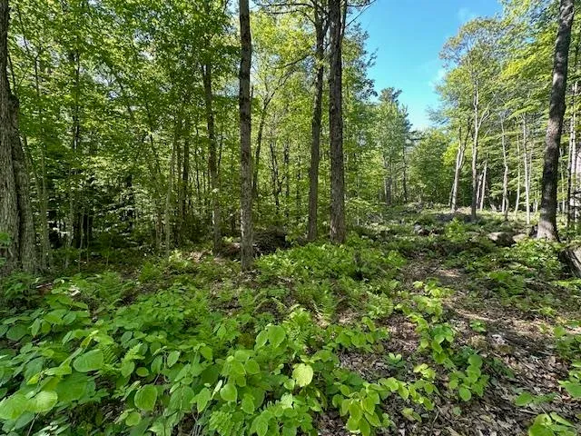 $44,900 | 0 Tigola Trail, Stoddard, NH 03464