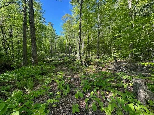 $44,900 | 0 Tigola Trail, Stoddard, NH 03464