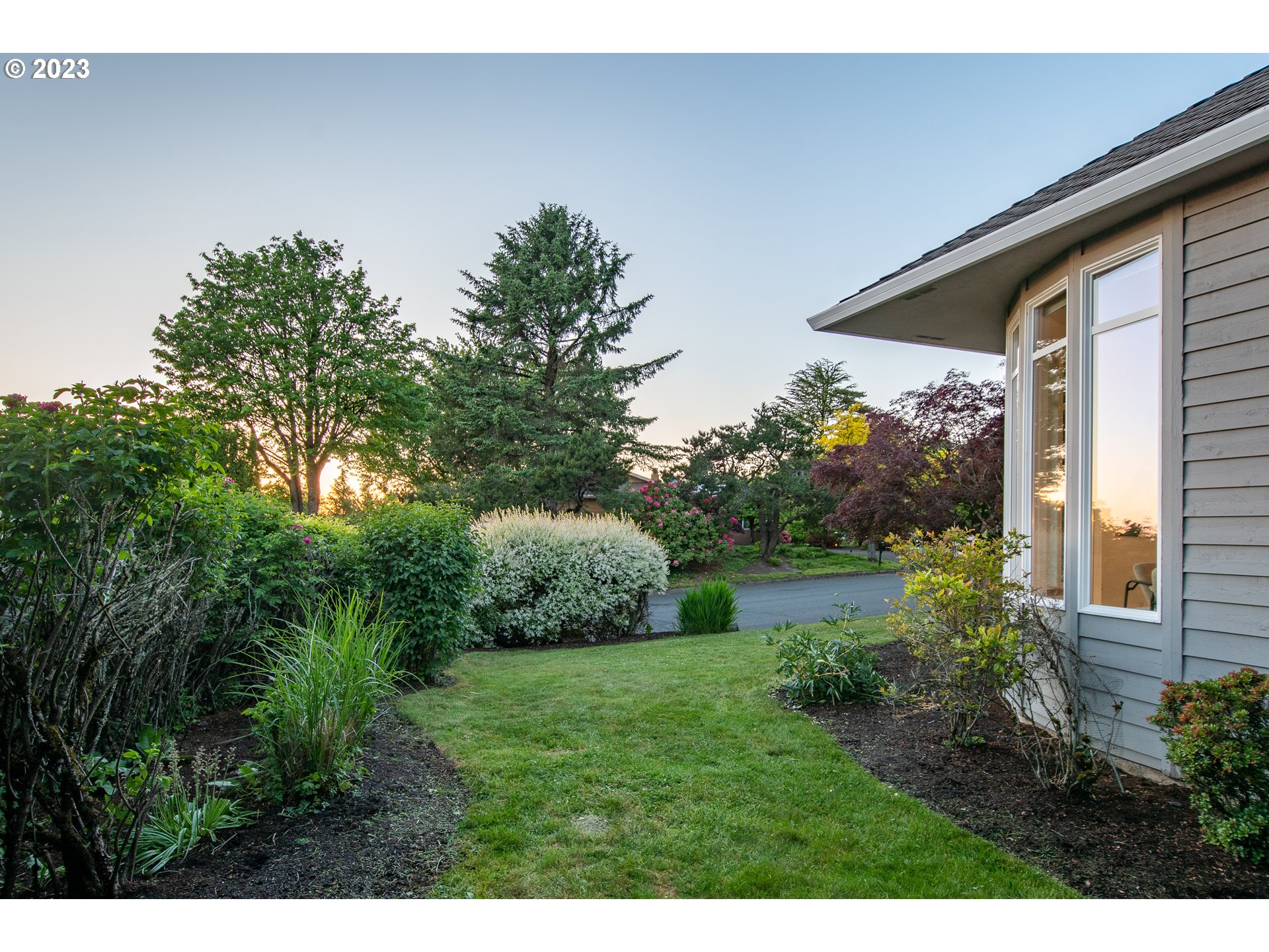 8208 Northwest Reed Drive Portland, OR 97229 - Photo 36 of 39 a view of a backyard with plants and large tree
