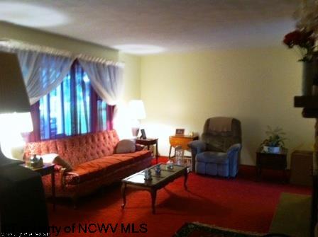 388 Q Road Arthurdale, WV 26520 - Photo 4 of 14 Gallery Image 4