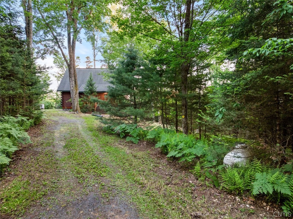 171 Ash Creek Road Ohio, NY 13324 - Photo 2 of 49