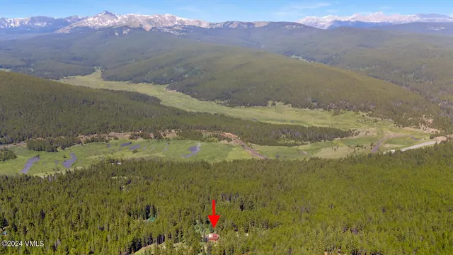$995,000 | 30 Fiddler Creek Road, Red Cliff, CO 81649