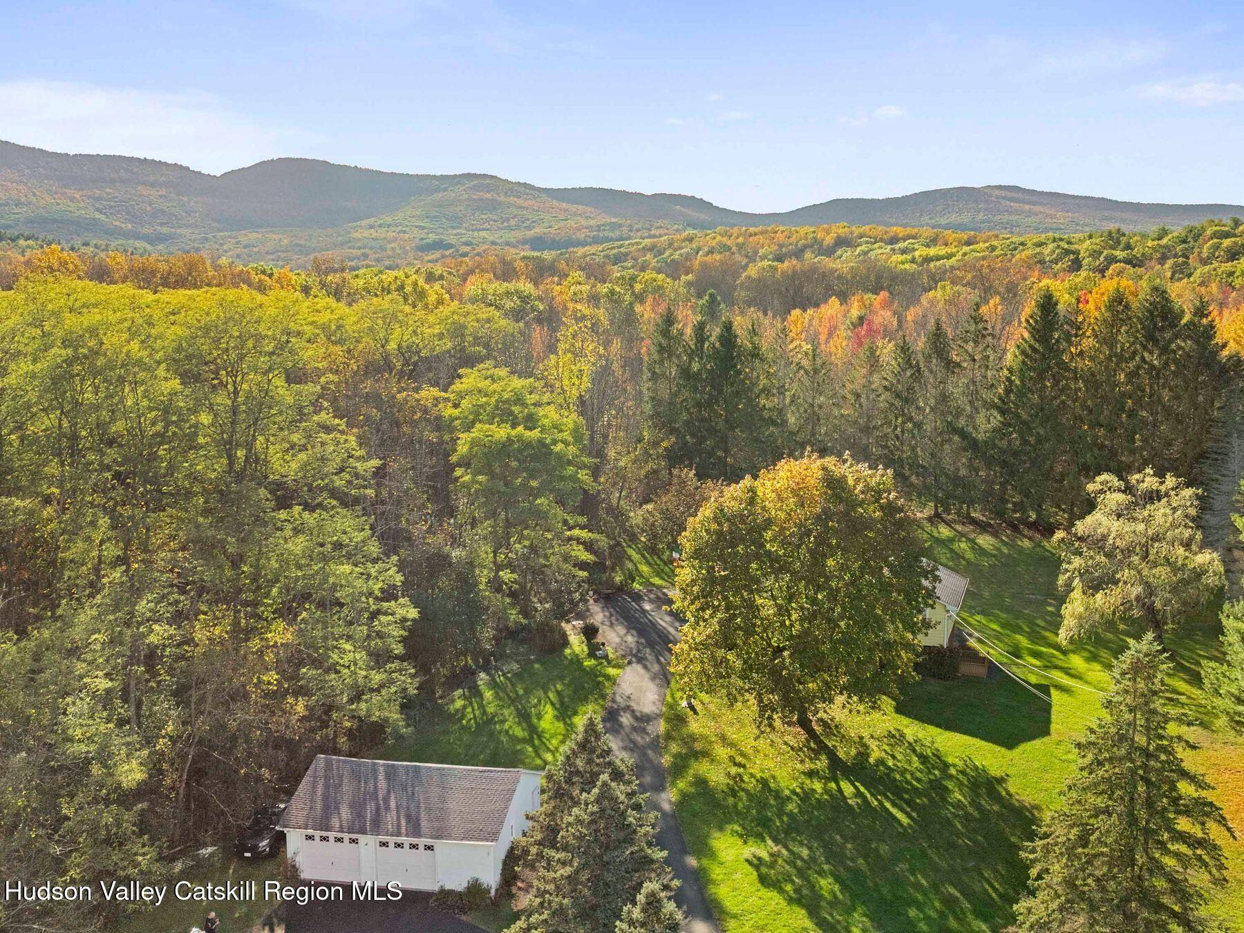 1339 Cornwallville Road Cornwallville, NY 12418 - Photo 2 of 47 a view of lake and mountain
