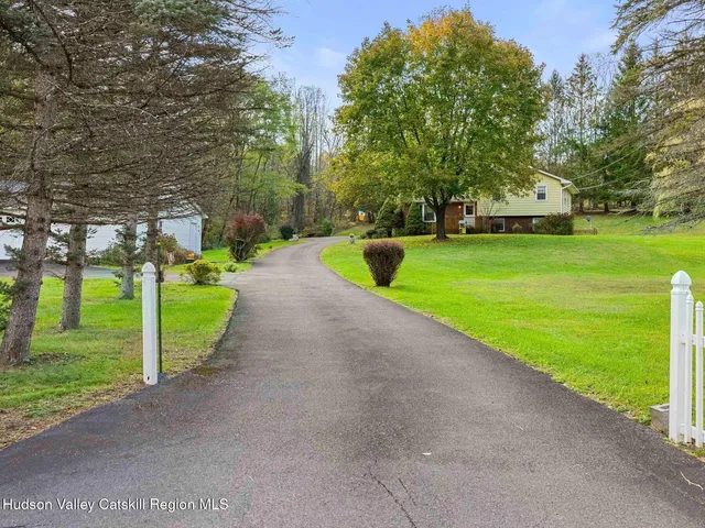 a view of a backyard with plants and large tree