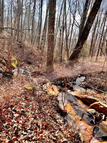 $40,050 | Lot 309 Tree House Trail, Dunlap, TN 37327