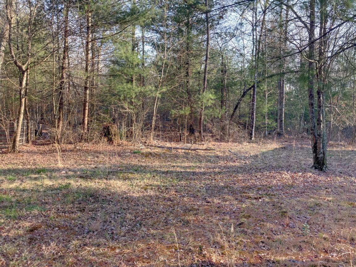 165 Mt Cabin Road Lancing, TN 37770 - Photo 8 of 38 015
