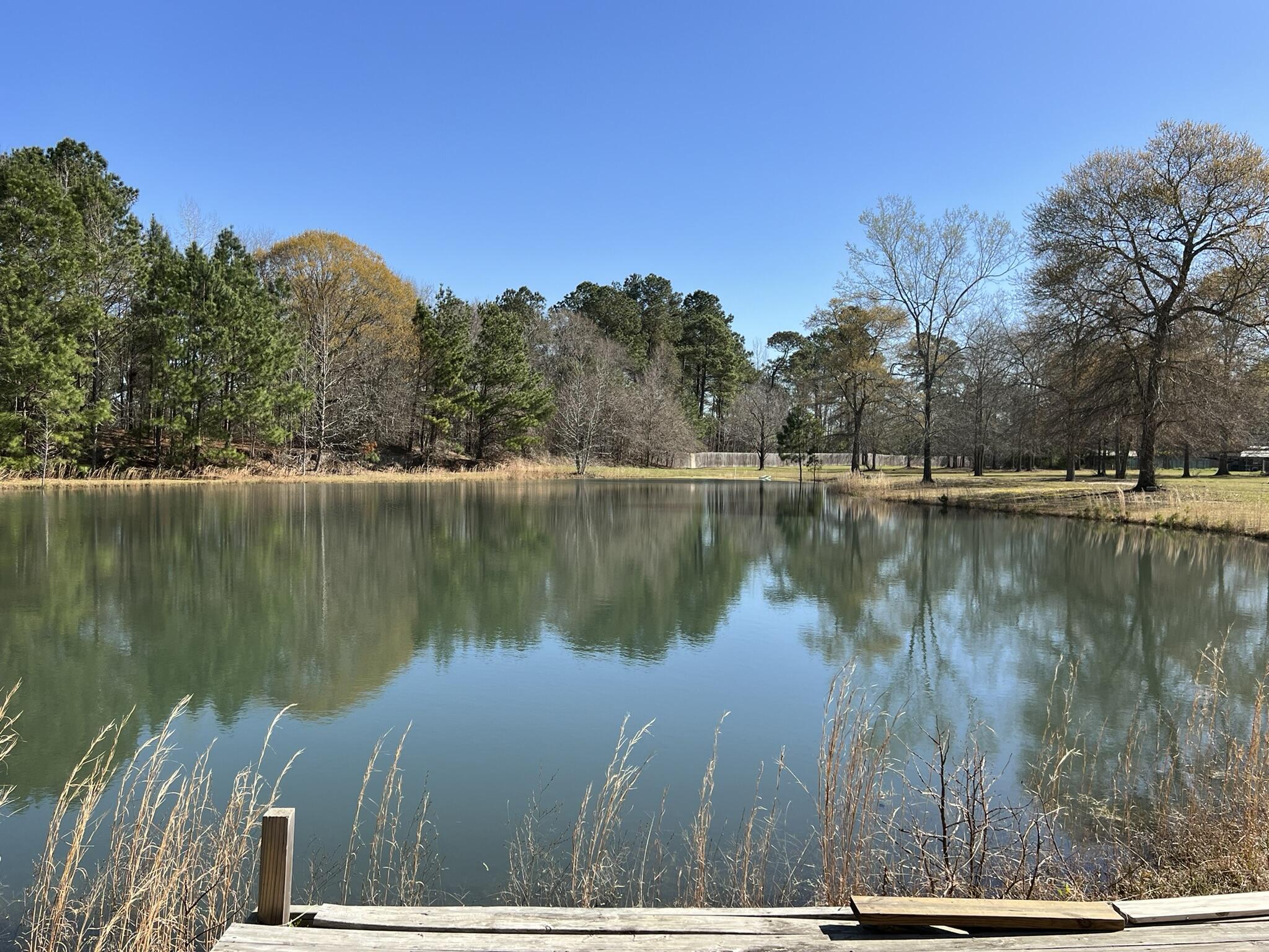 1790 Strickland Road Manning, SC 29102 - Photo 8 of 39 pond from fishing shed