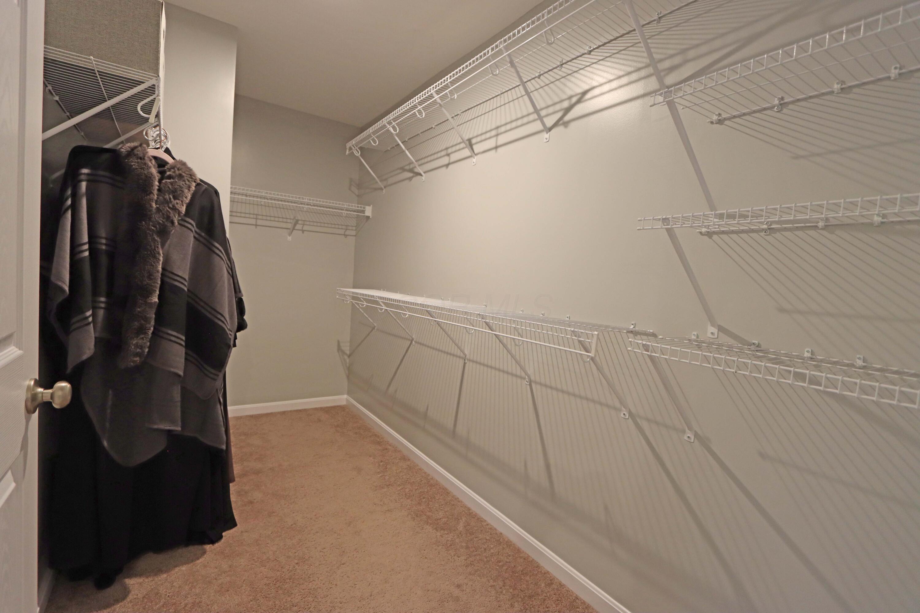 231 Harness Way Delaware, OH 43015 - Photo 40 of 60
