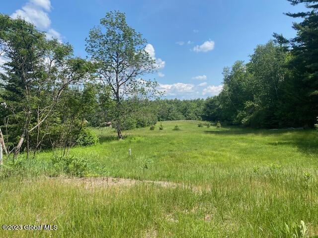 664 Goodman Road Johnsburg, NY 12843 - Photo 3 of 17 IMG_1954