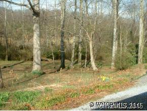 620 Long Shoals Road Arden, NC 28704 - Photo 5 of 12 Gallery Image 5