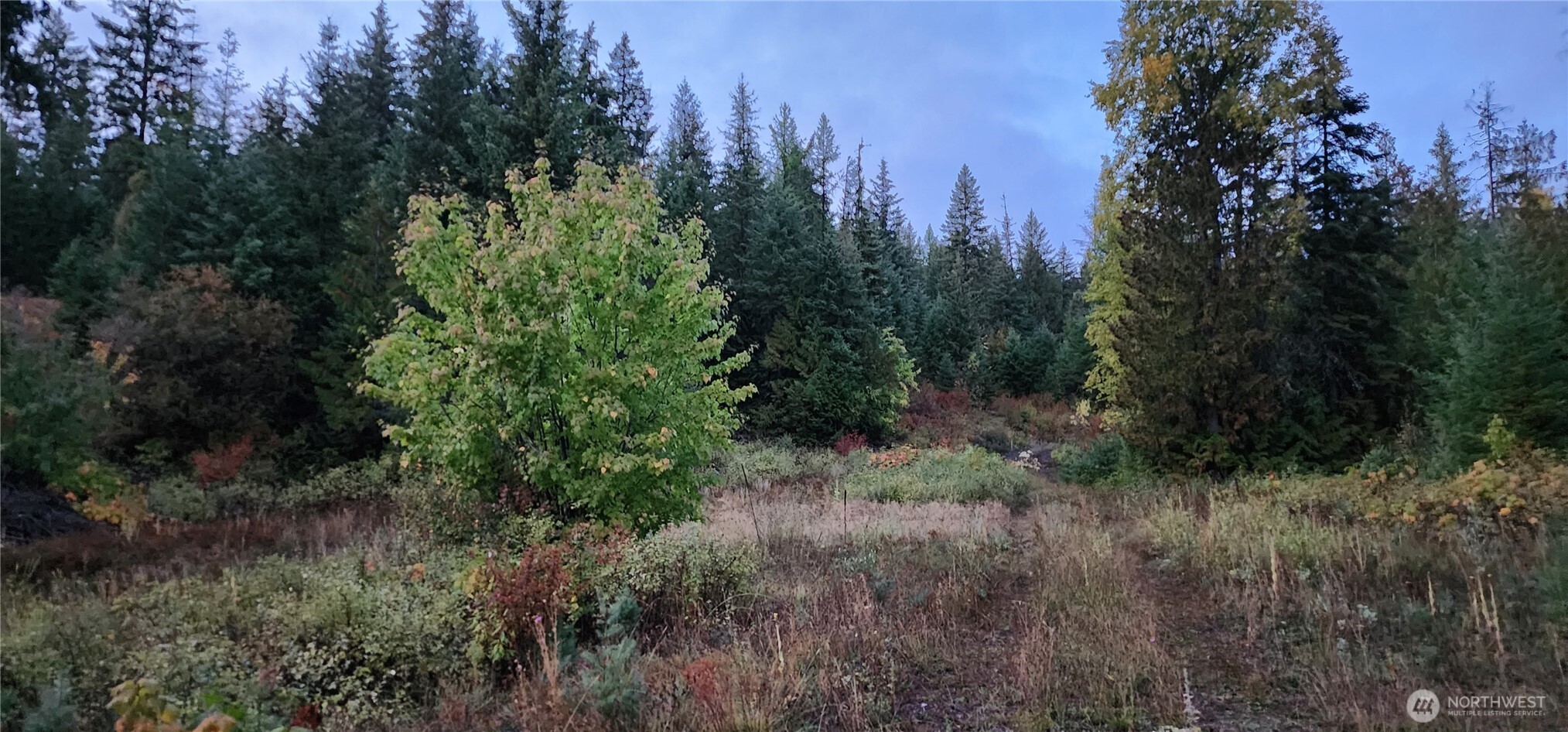 2518 Bodie Mountain Road Colville, WA 99114 - Photo 31 of 40