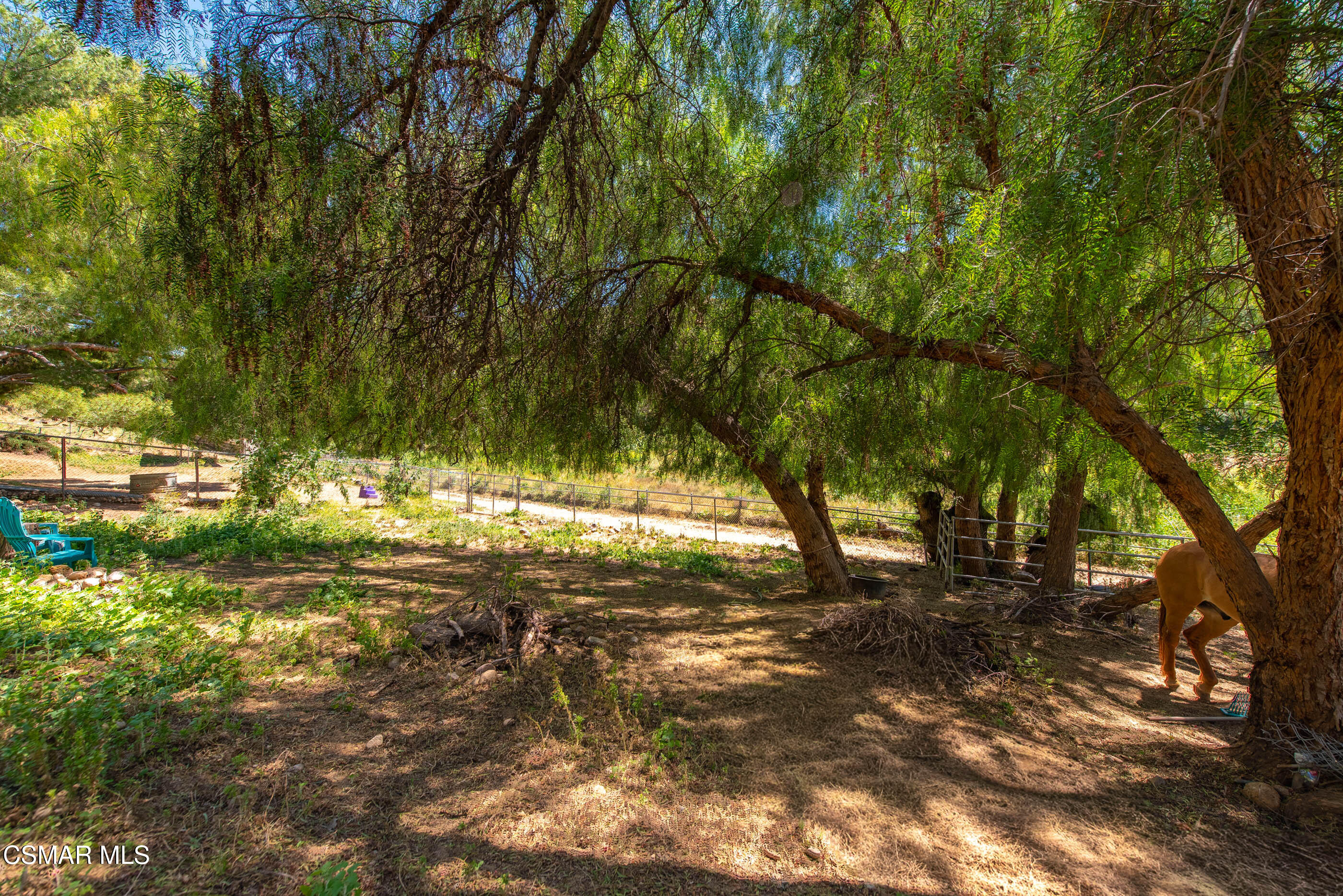 1208 Rambling Road Simi Valley, CA 93065 - Photo 61 of 96 1208 Rambling Rd Simi Valley-72