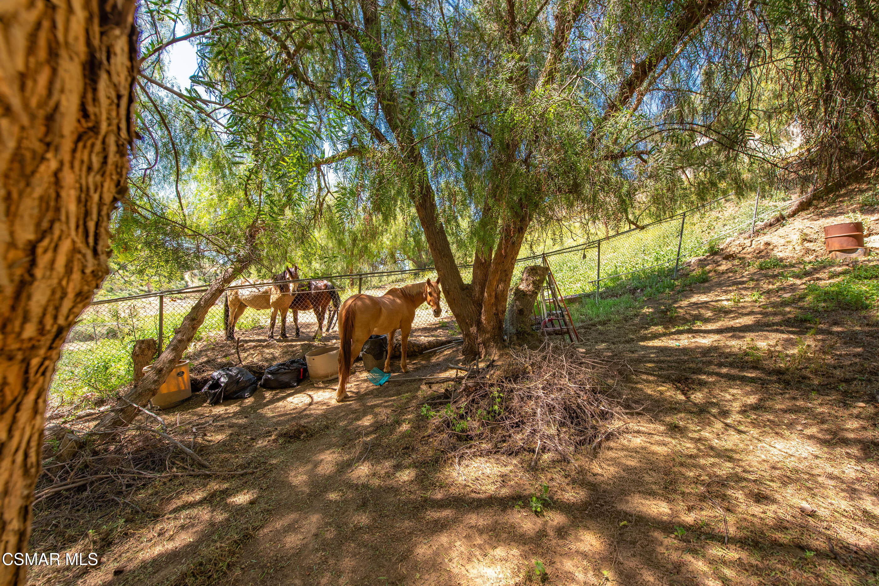 1208 Rambling Road Simi Valley, CA 93065 - Photo 62 of 96 1208 Rambling Rd Simi Valley-74