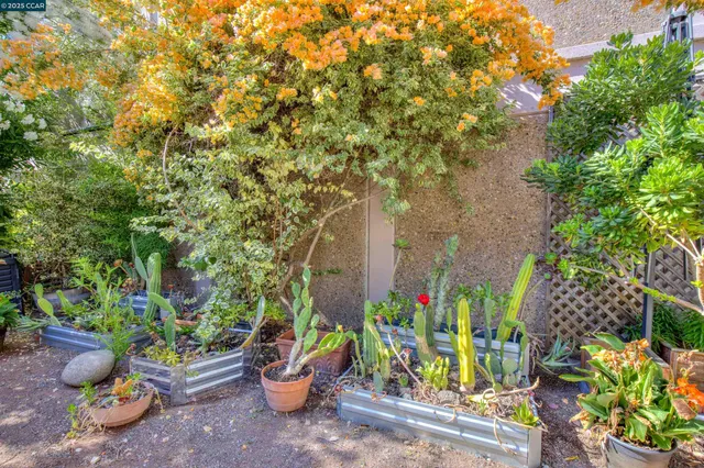 a view of a backyard with plants and flowers