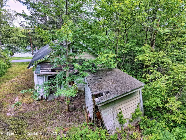 a picture of flowers