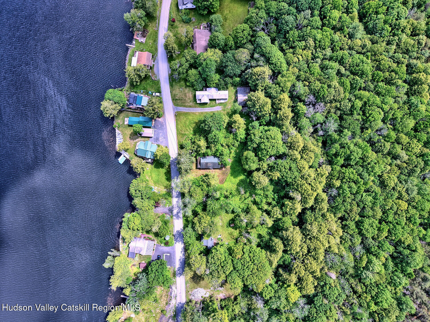 145 Lake Road Berne, NY 12023 - Photo 18 of 66 a picture of flowers