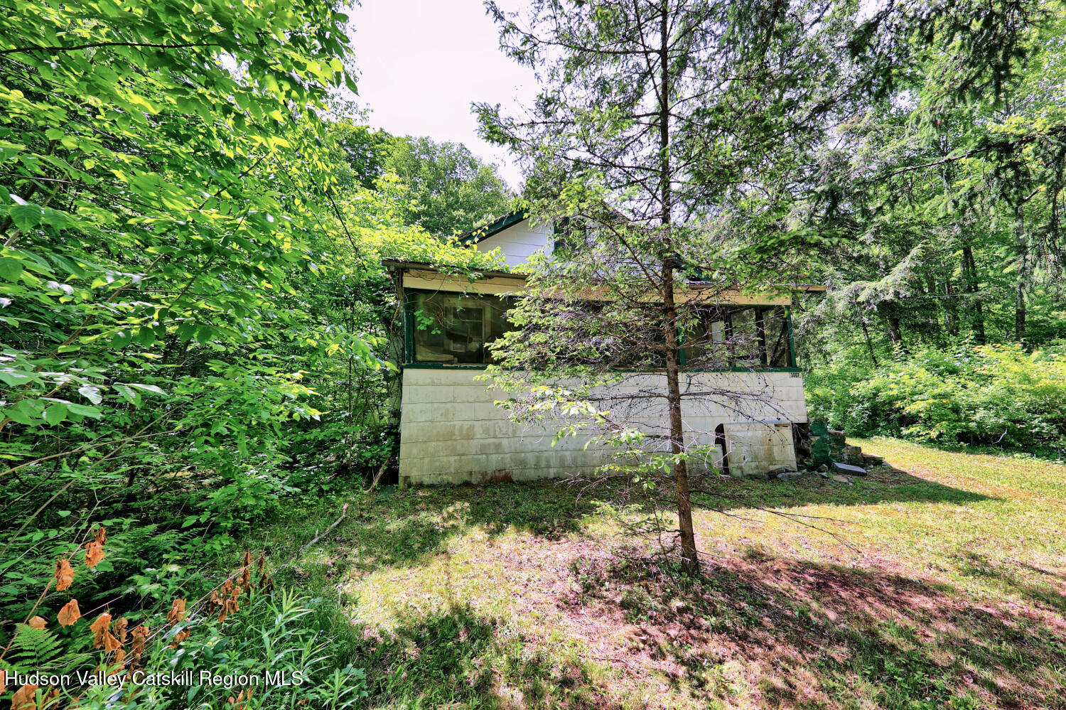 145 Lake Road Berne, NY 12023 - Photo 5 of 66 a view of a backyard