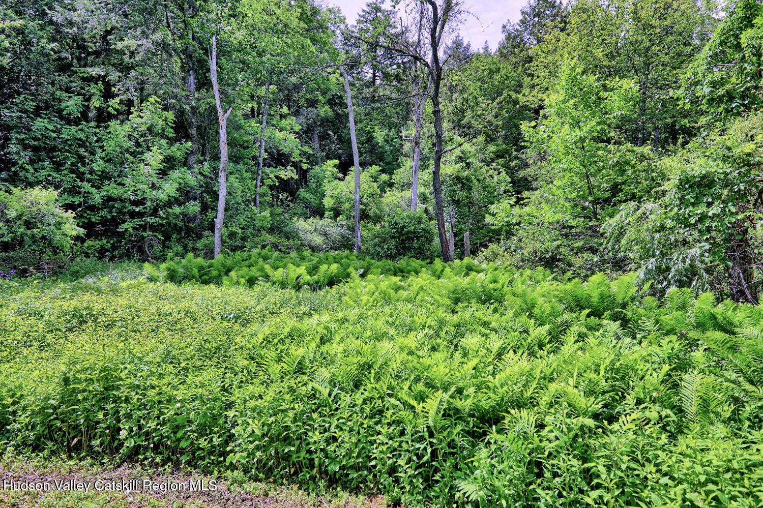 145 Lake Road Berne, NY 12023 - Photo 58 of 66 9zw