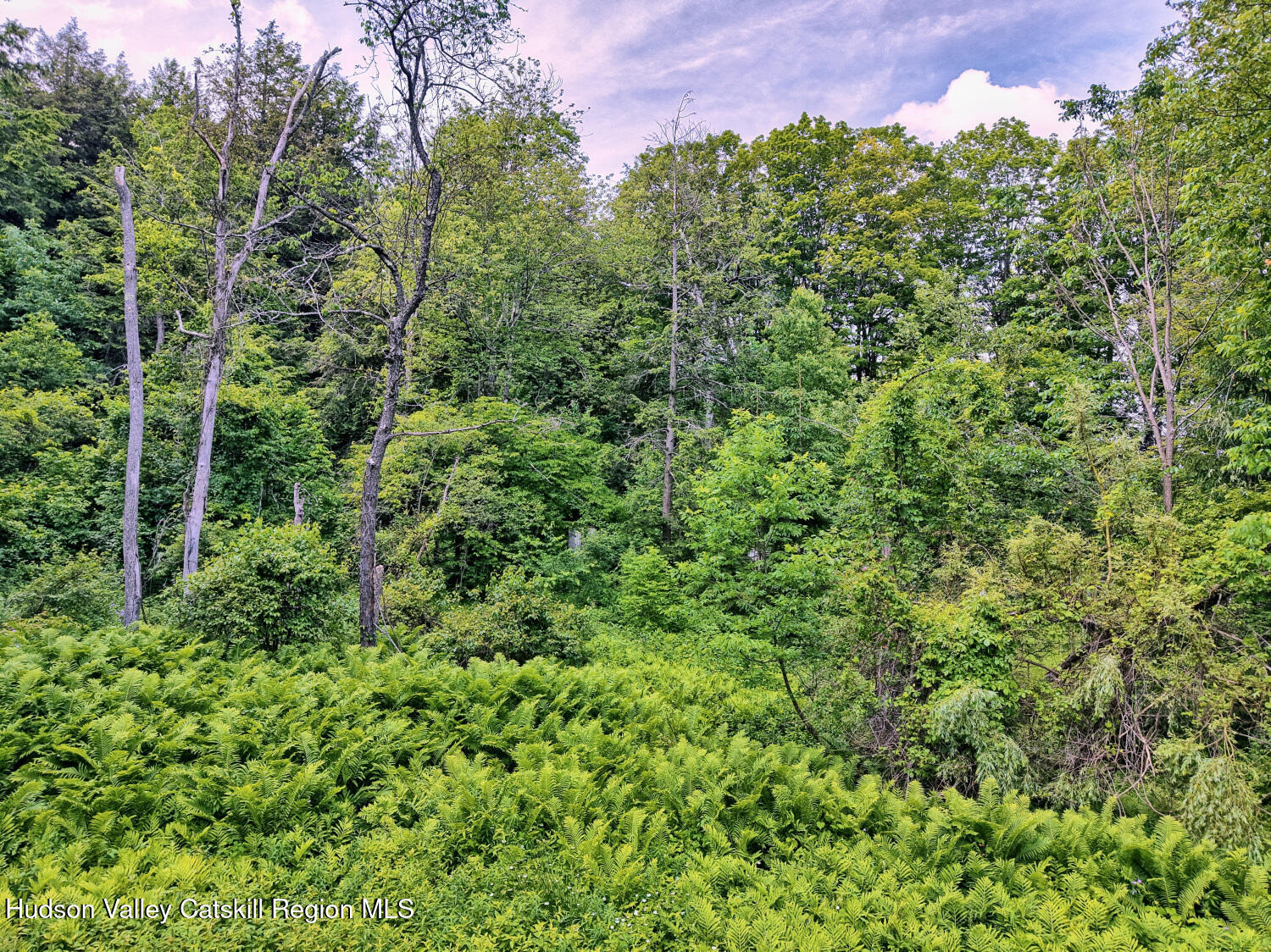 145 Lake Road Berne, NY 12023 - Photo 60 of 66 9zy