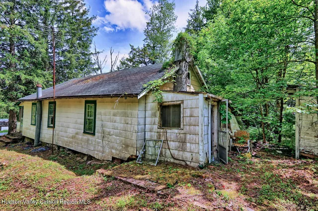 a picture of flowers