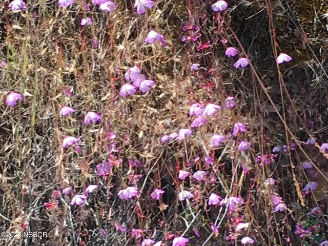 a view of an ocean and beach