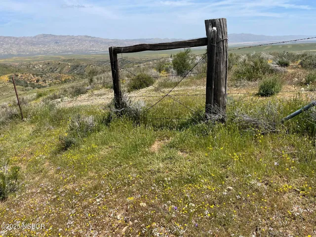 a view of a forest from a yard