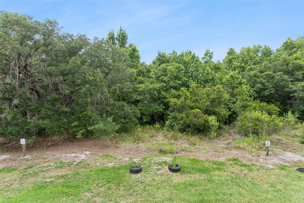 914 Spring Palms Loop Orlando, FL 32828 - Photo 27 of 40