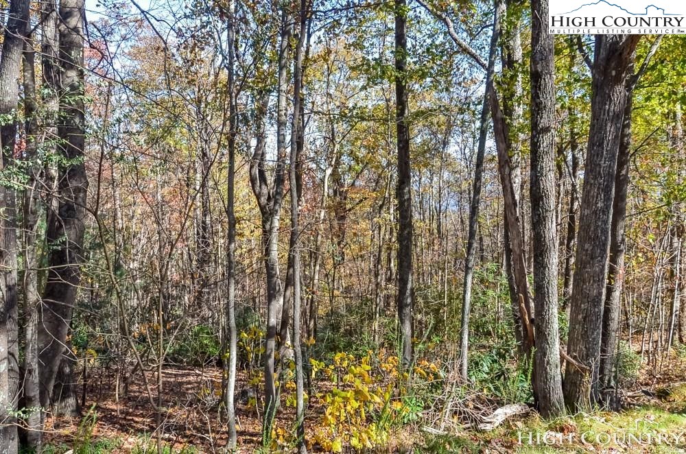 Lot 1 Little Laurel Road Boone, NC 28607 - Photo 3 of 4 Gallery Image 3