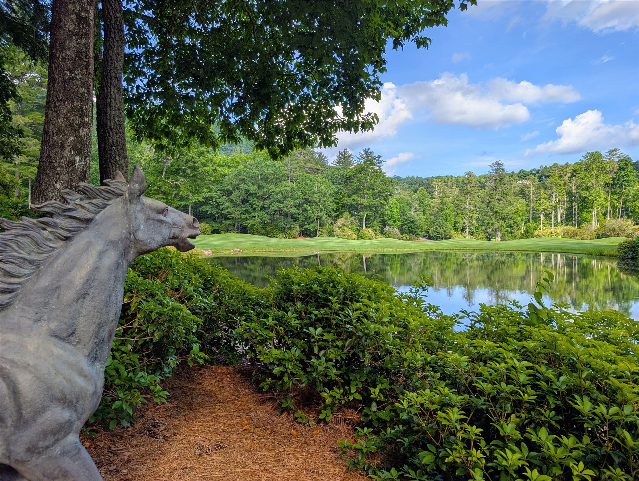 241 Indian Pipe Road Cashiers, NC 28717 - Photo 56 of 60 Gallery Image 56