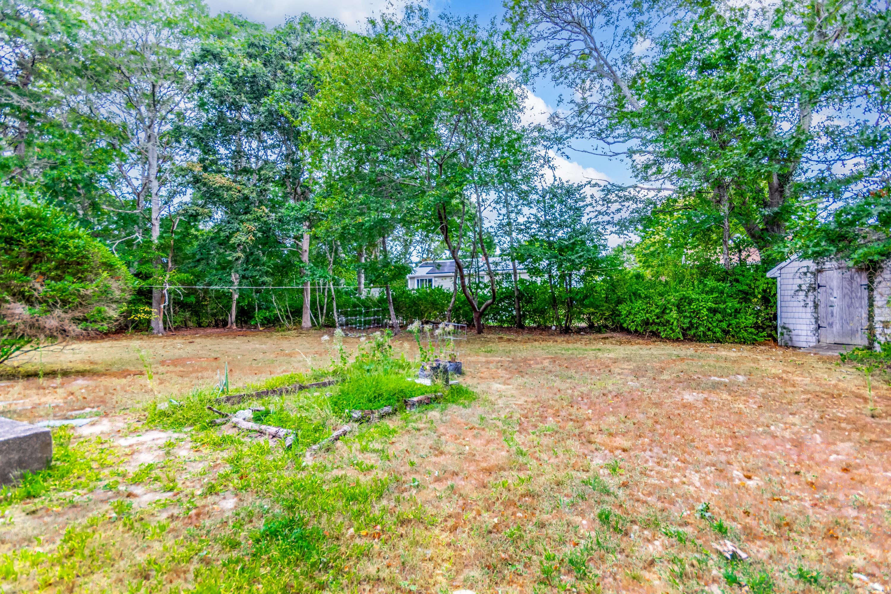 66 Braxton Road East Falmouth, MA 02536 - Photo 16 of 17 a view of backyard with green space