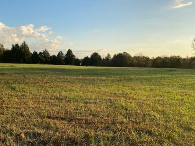 732 New Hope Road McDonough, GA 30252 - Photo 3 of 3 a view of an ocean from a yard