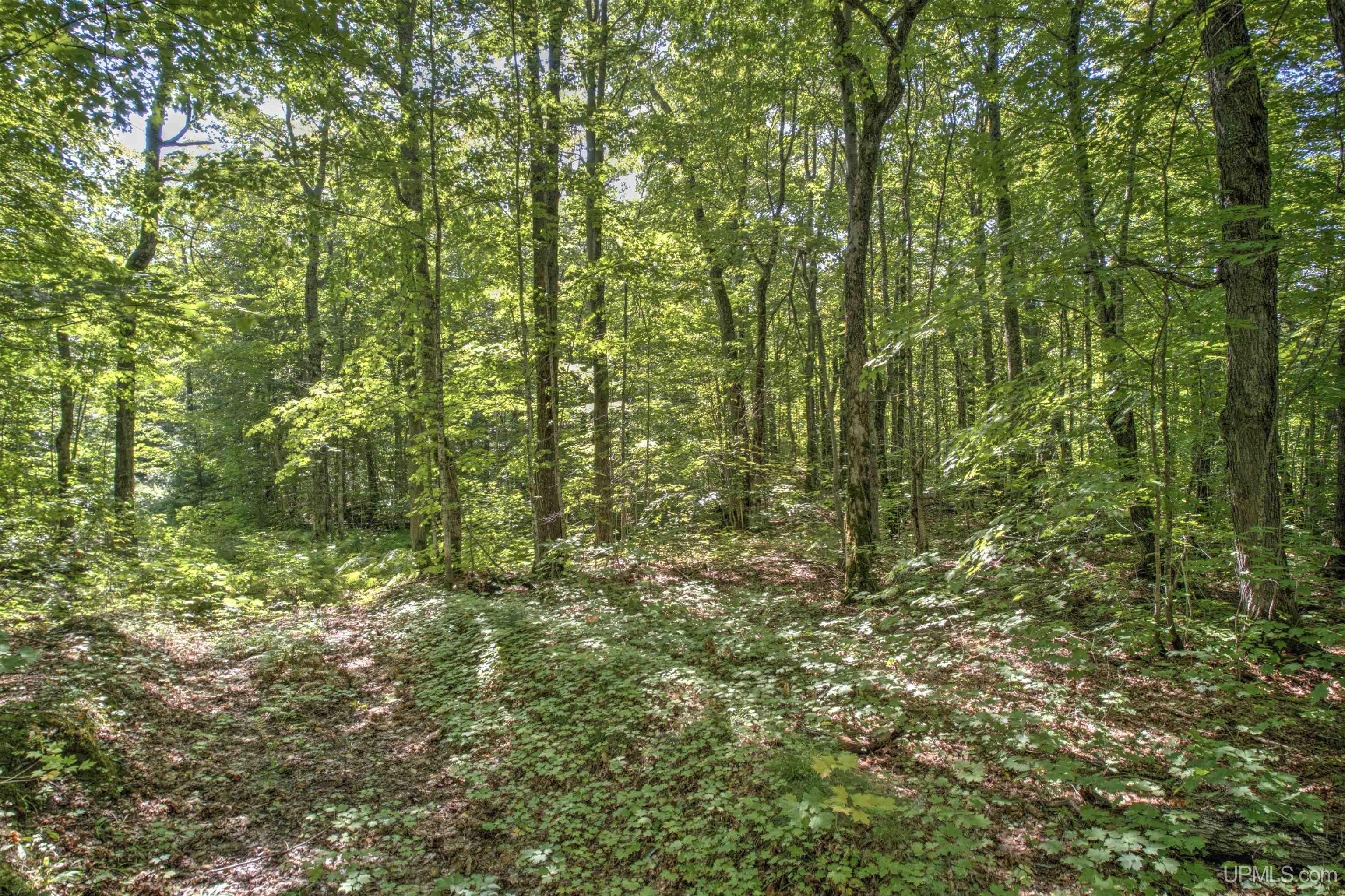 Tbd Lake Medora Road Mohawk, MI 49950 - Photo 16 of 19