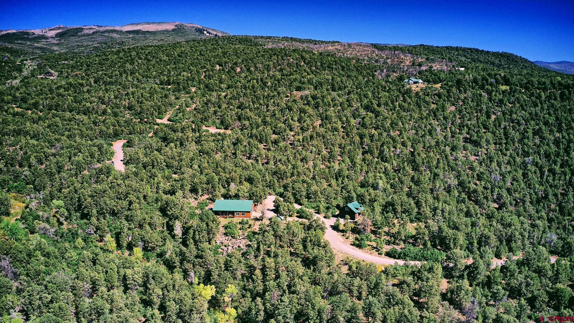 20613 High Park Road Cedaredge, CO 81413 - Photo 6 of 35